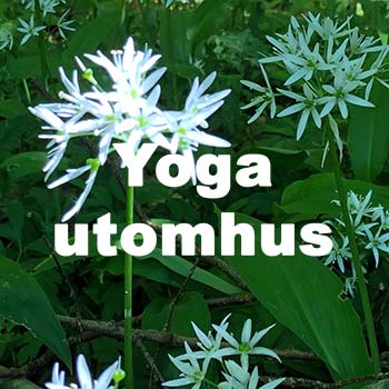 yoga-utomhus